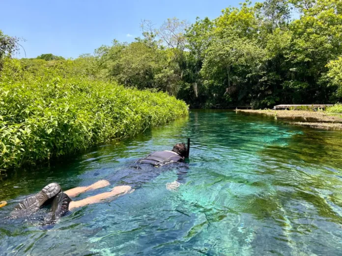 Prefeitura de Bonito MS: Processo Seletivo para Docentes em 2026