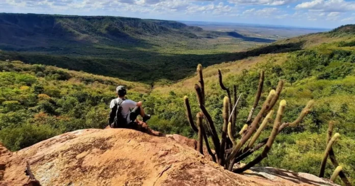 Prefeitura de Portalegre RN Abre Seleção Para Motoristas e Mais