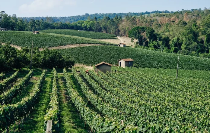 Concurso Prefeitura de Jarinu SP: Vagas para Guarda Civil Municipal