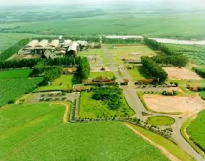 Concurso Prefeitura de Guariba SP: 5 Vagas Imperdíveis